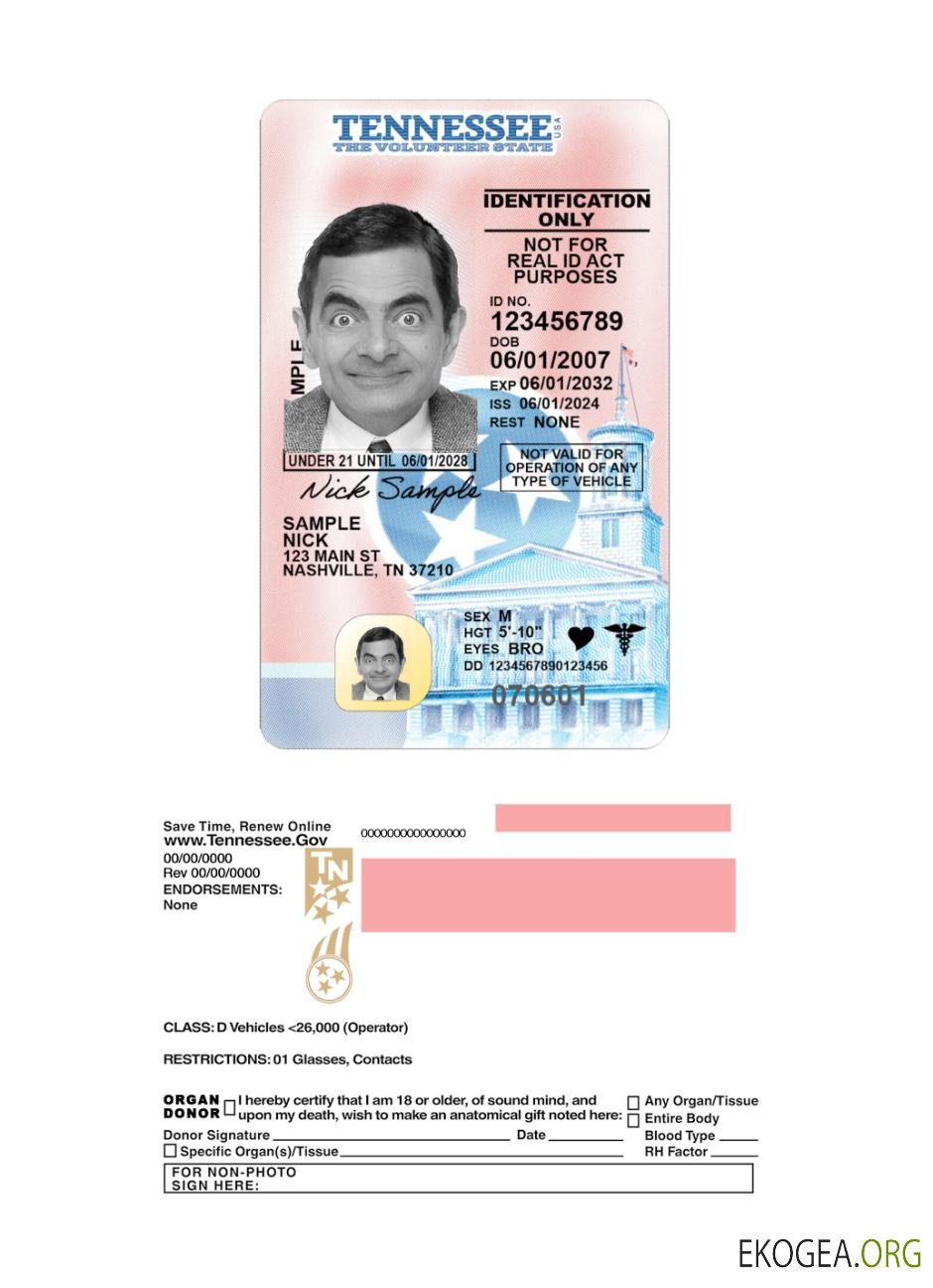 USA Tennessee under 21 driving license 2024 present